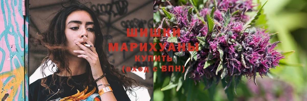 ешки Аркадак