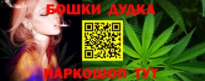 гидропоника Сланцы