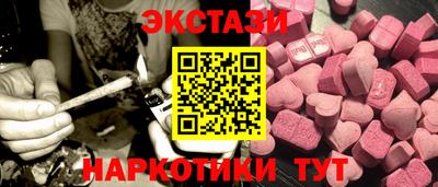 гидропоника Сланцы