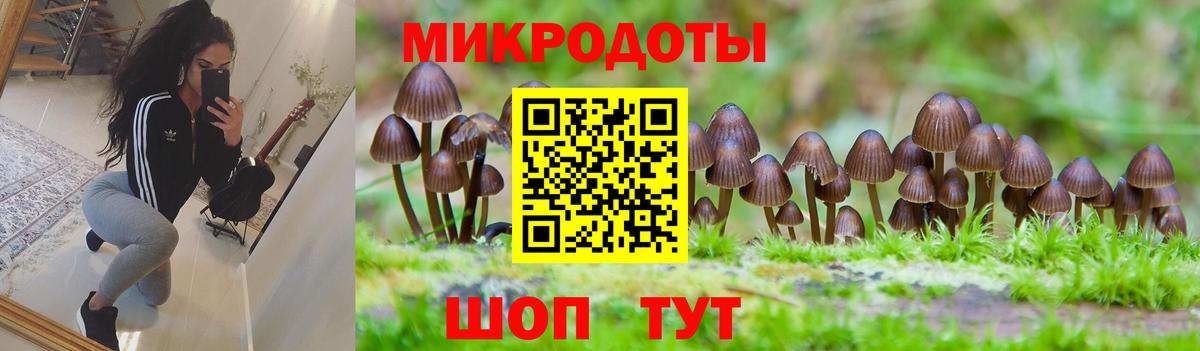 купить  сайты  Вход с VPN  Галлюциногенные грибы GOLDEN TEACHER  Тайшет  Псилоцибиновые грибы мицелий 